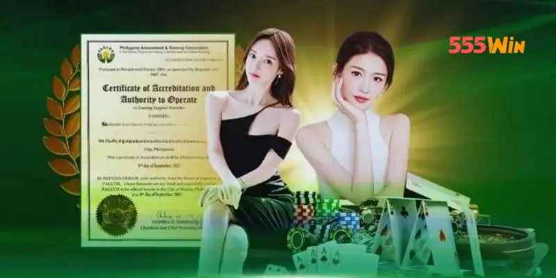 Những điều cơ bản mà nền tảng đã sở hữu tại trang web